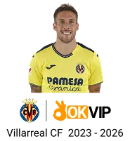 Lịch sử phát triển WW8